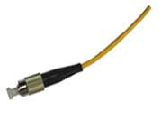 FC ���w����/β�w