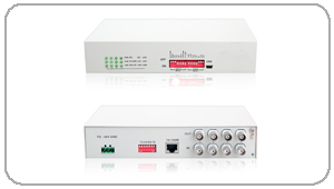 4E1/ETH(GFP��)�f(xi��)�h�D(zhu��n)�Q��