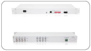 8E1/ETH(��)GFP�ͅf(xi��)�h�D(zhu��n)�Q��